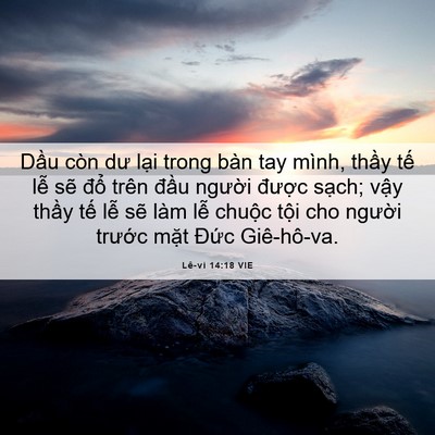 Picture 06 - Lê-vi 14:18 VIE - Dầu còn dư lại trong bàn tay mình, thầy - Bible Verse Picture