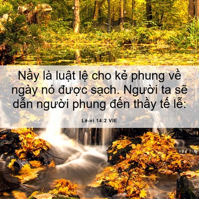 Picture 06 - Lê-vi 14:2 VIE - Nầy là luật lệ cho kẻ phung về ngày - Bible Verse Picture