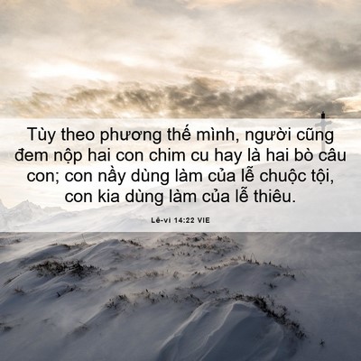 Picture 06 - Lê-vi 14:22 VIE - Tùy theo phương thế mình, người cũng - Bible Verse Picture