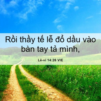 Picture 06 - Lê-vi 14:26 VIE - Rồi thầy tế lễ đổ dầu vào bàn tay - Bible Verse Picture