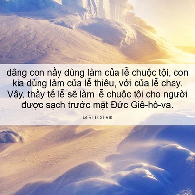 Picture 06 - Lê-vi 14:31 VIE - dâng con nầy dùng làm của lễ chuộc - Bible Verse Picture