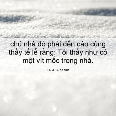 Picture 06 - Lê-vi 14:35 VIE - chủ nhà đó phải đến cáo cùng thầy - Bible Verse Picture