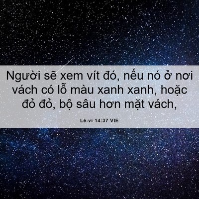 Picture 06 - Lê-vi 14:37 VIE - Người sẽ xem vít đó, nếu nó ở nơi - Bible Verse Picture
