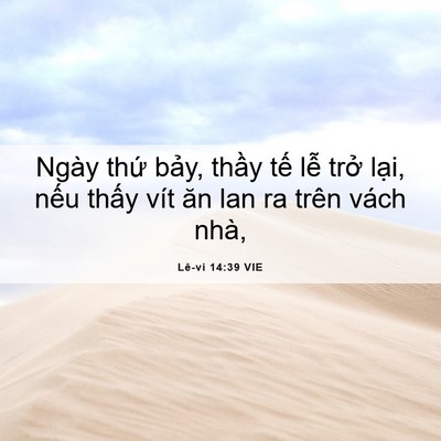 Picture 06 - Lê-vi 14:39 VIE - Ngày thứ bảy, thầy tế lễ trở lại, - Bible Verse Picture