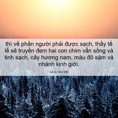 Picture 06 - Lê-vi 14:4 VIE - thì về phần người phải được sạch, - Bible Verse Picture