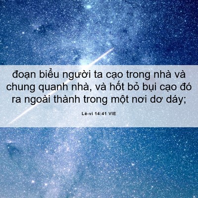 Picture 06 - Lê-vi 14:41 VIE - đoạn biểu người ta cạo trong nhà và - Bible Verse Picture