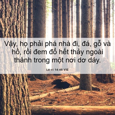 Picture 06 - Lê-vi 14:45 VIE - Vậy, họ phải phá nhà đi, đá, gỗ và - Bible Verse Picture