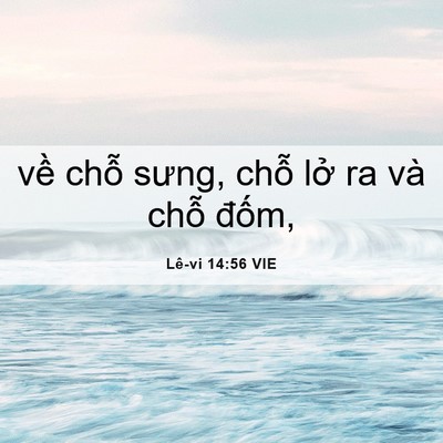 Picture 06 - Lê-vi 14:56 VIE - về chỗ sưng, chỗ lở ra và chỗ - Bible Verse Picture