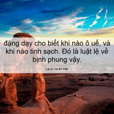 Picture 06 - Lê-vi 14:57 VIE - đặng dạy cho biết khi nào ô uế, và - Bible Verse Picture
