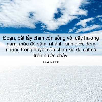 Picture 06 - Lê-vi 14:6 VIE - Đoạn, bắt lấy chim còn sống với cây - Bible Verse Picture