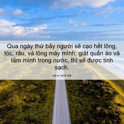 Picture 06 - Lê-vi 14:9 VIE - Qua ngày thứ bảy người sẽ cạo hết - Bible Verse Picture