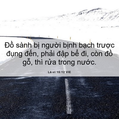 Picture 06 - Lê-vi 15:12 VIE - Đồ sành bị người bịnh bạch trược - Bible Verse Picture
