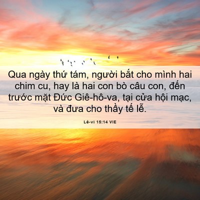 Picture 06 - Lê-vi 15:14 VIE - Qua ngày thứ tám, người bắt cho mình - Bible Verse Picture