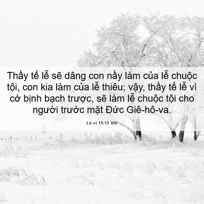 Picture 06 - Lê-vi 15:15 VIE - Thầy tế lễ sẽ dâng con nầy làm của - Bible Verse Picture