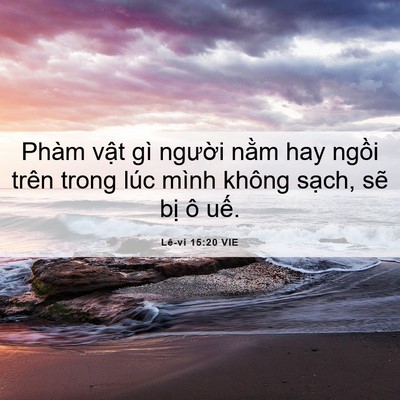 Picture 06 - Lê-vi 15:20 VIE - Phàm vật gì người nằm hay ngồi trên - Bible Verse Picture