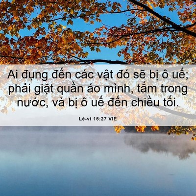 Picture 06 - Lê-vi 15:27 VIE - Ai đụng đến các vật đó sẽ bị ô - Bible Verse Picture