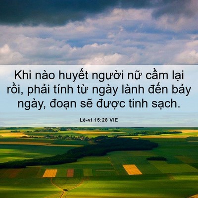 Picture 06 - Lê-vi 15:28 VIE - Khi nào huyết người nữ cầm lại rồi, - Bible Verse Picture