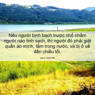 Picture 06 - Lê-vi 15:8 VIE - Nếu người bịnh bạch trược nhổ - Bible Verse Picture