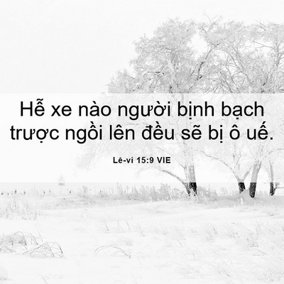 Picture 06 - Lê-vi 15:9 VIE - Hễ xe nào người bịnh bạch trược - Bible Verse Picture