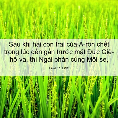 Picture 06 - Lê-vi 16:1 VIE - Sau khi hai con trai của A-rôn chết trong - Bible Verse Picture