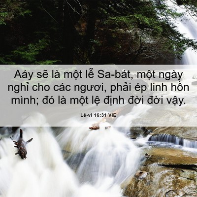 Picture 06 - Lê-vi 16:31 VIE - Aáy sẽ là một lễ Sa-bát, một ngày - Bible Verse Picture
