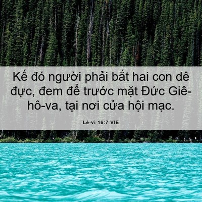Picture 06 - Lê-vi 16:7 VIE - Kế đó người phải bắt hai con dê - Bible Verse Picture