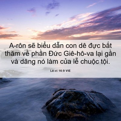 Picture 06 - Lê-vi 16:9 VIE - A-rôn sẽ biểu dẫn con dê đực bắt - Bible Verse Picture