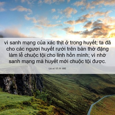 Picture 06 - Lê-vi 17:11 VIE - vì sanh mạng của xác thịt ở trong - Bible Verse Picture