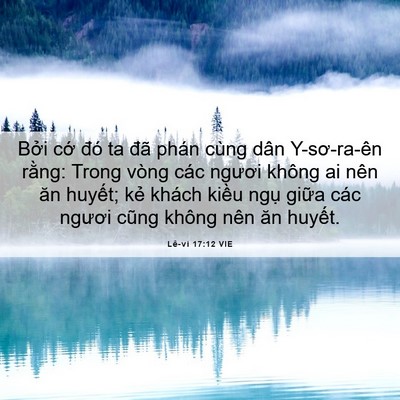 Picture 06 - Lê-vi 17:12 VIE - Bởi cớ đó ta đã phán cùng dân - Bible Verse Picture