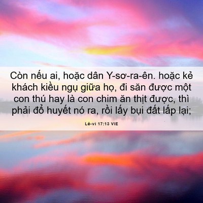 Picture 06 - Lê-vi 17:13 VIE - Còn nếu ai, hoặc dân Y-sơ-ra-ên. hoặc - Bible Verse Picture