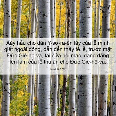 Picture 06 - Lê-vi 17:5 VIE - Aáy hầu cho dân Y-sơ-ra-ên lấy của lễ - Bible Verse Picture