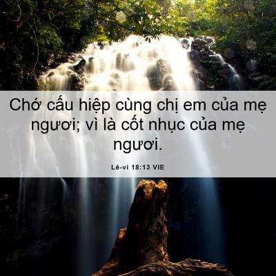 Picture 06 - Lê-vi 18:13 VIE - Chớ cấu hiệp cùng chị em của mẹ - Bible Verse Picture