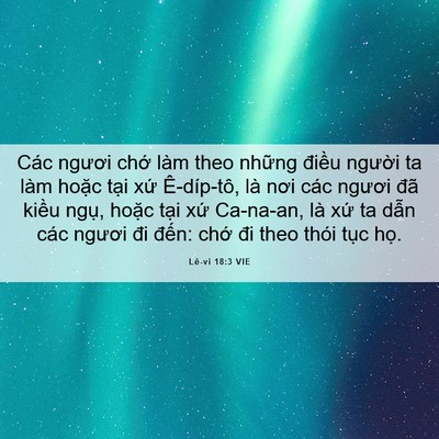 Picture 06 - Lê-vi 18:3 VIE - Các ngươi chớ làm theo những điều - Bible Verse Picture