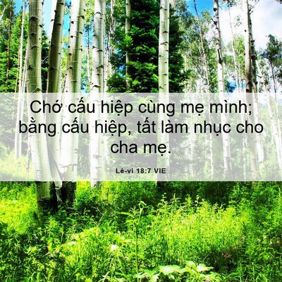Picture 06 - Lê-vi 18:7 VIE - Chớ cấu hiệp cùng mẹ mình; bằng cấu - Bible Verse Picture