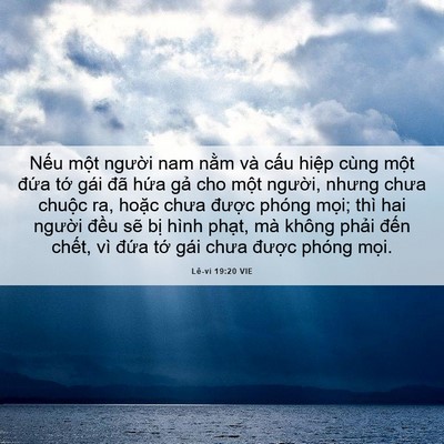 Picture 06 - Lê-vi 19:20 VIE - Nếu một người nam nằm và cấu hiệp - Bible Verse Picture