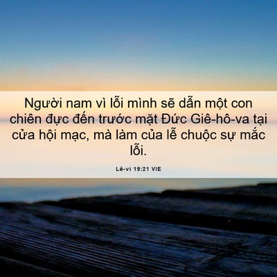 Picture 06 - Lê-vi 19:21 VIE - Người nam vì lỗi mình sẽ dẫn một con - Bible Verse Picture