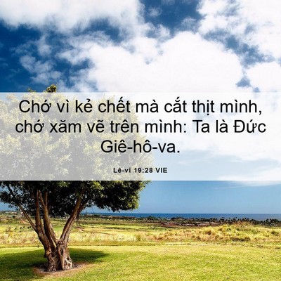 Picture 06 - Lê-vi 19:28 VIE - Chớ vì kẻ chết mà cắt thịt mình, - Bible Verse Picture