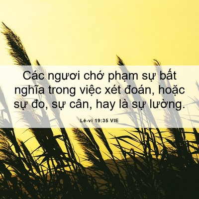 Picture 06 - Lê-vi 19:35 VIE - Các ngươi chớ phạm sự bất nghĩa trong - Bible Verse Picture