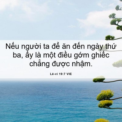Picture 06 - Lê-vi 19:7 VIE - Nếu người ta để ăn đến ngày thứ - Bible Verse Picture
