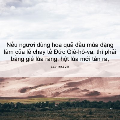 Picture 06 - Lê-vi 2:14 VIE - Nếu ngươi dùng hoa quả đầu mùa đặng - Bible Verse Picture