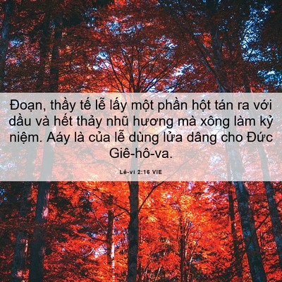 Picture 06 - Lê-vi 2:16 VIE - Đoạn, thầy tế lễ lấy một phần - Bible Verse Picture