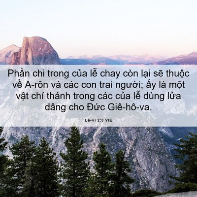 Picture 06 - Lê-vi 2:3 VIE - Phần chi trong của lễ chay còn lại sẽ - Bible Verse Picture