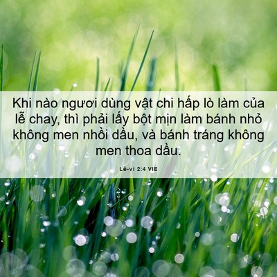 Picture 06 - Lê-vi 2:4 VIE - Khi nào ngươi dùng vật chi hấp lò làm - Bible Verse Picture