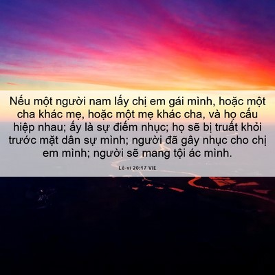 Picture 06 - Lê-vi 20:17 VIE - Nếu một người nam lấy chị em gái - Bible Verse Picture