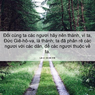 Picture 06 - Lê-vi 20:26 VIE - Đối cùng ta các ngươi hãy nên thánh, - Bible Verse Picture