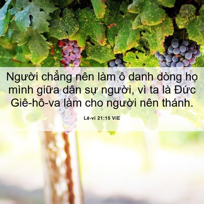 Picture 06 - Lê-vi 21:15 VIE - Người chẳng nên làm ô danh dòng họ - Bible Verse Picture