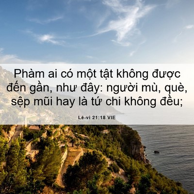 Picture 06 - Lê-vi 21:18 VIE - Phàm ai có một tật không được đến - Bible Verse Picture