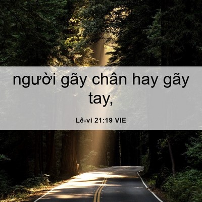Picture 06 - Lê-vi 21:19 VIE - người gãy chân hay gãy - Bible Verse Picture
