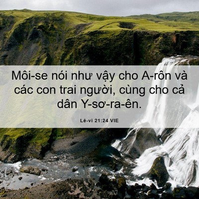 Picture 06 - Lê-vi 21:24 VIE - Môi-se nói như vậy cho A-rôn và các con - Bible Verse Picture