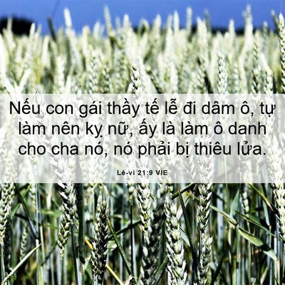 Picture 06 - Lê-vi 21:9 VIE - Nếu con gái thầy tế lễ đi dâm ô, tự - Bible Verse Picture